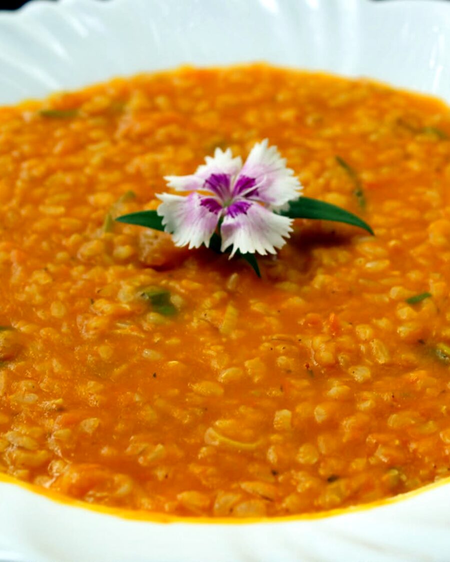 Risoto de abóbora com flor comestível em prato branco